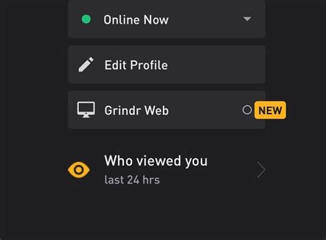 siti gay online|Grindr Web 